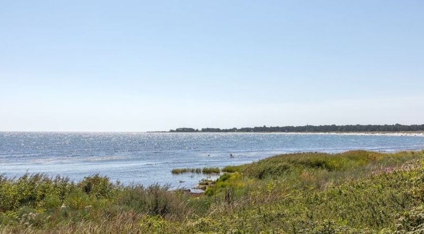 Photo of "Sami" - 200m from the sea