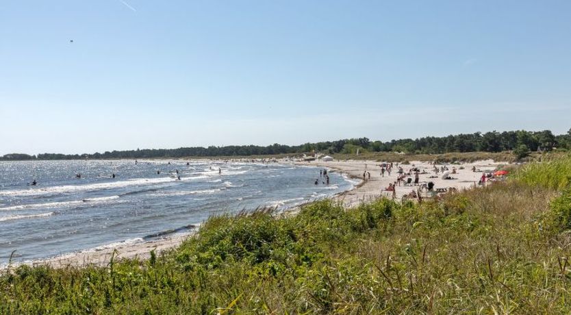 Photo of "Sami" - 200m from the sea