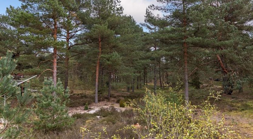 Photo of "Ømunde" - 150m from the sea