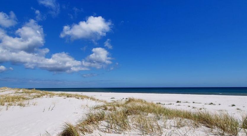 Photo of "Apelone" - 300m from the sea