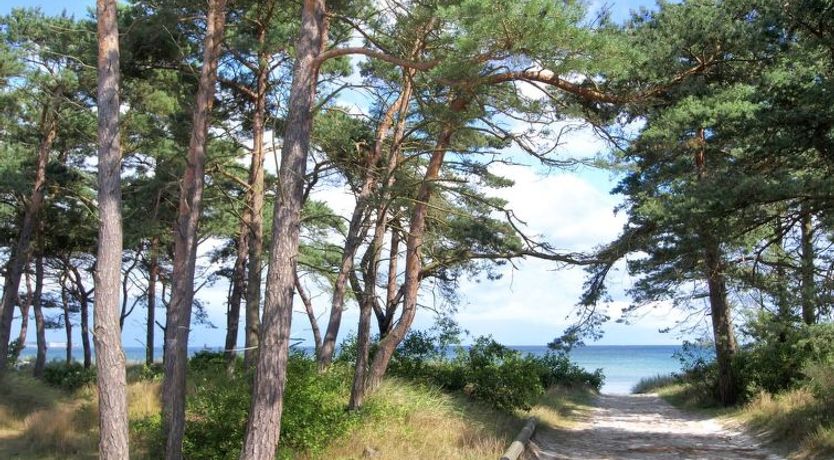 Photo of "Ellinor" - 300m from the sea