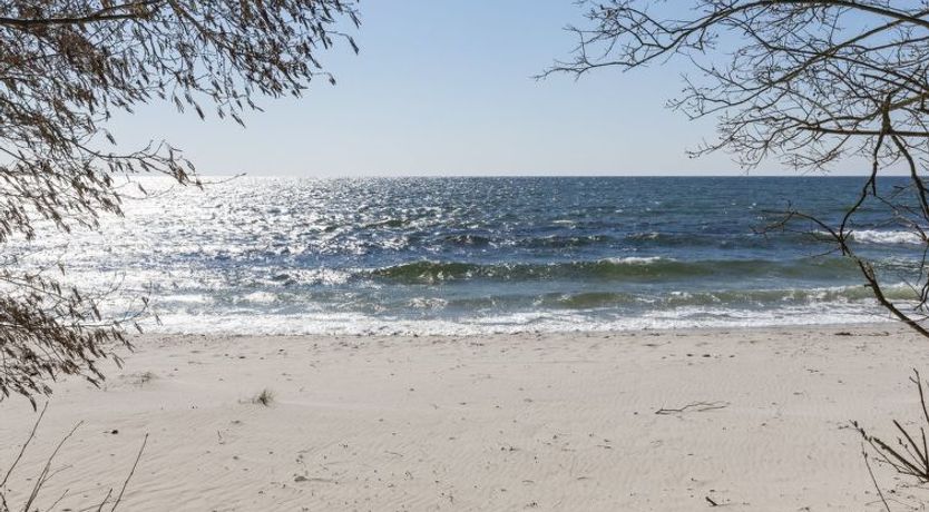 Photo of "Gottfrieda" - 300m from the sea