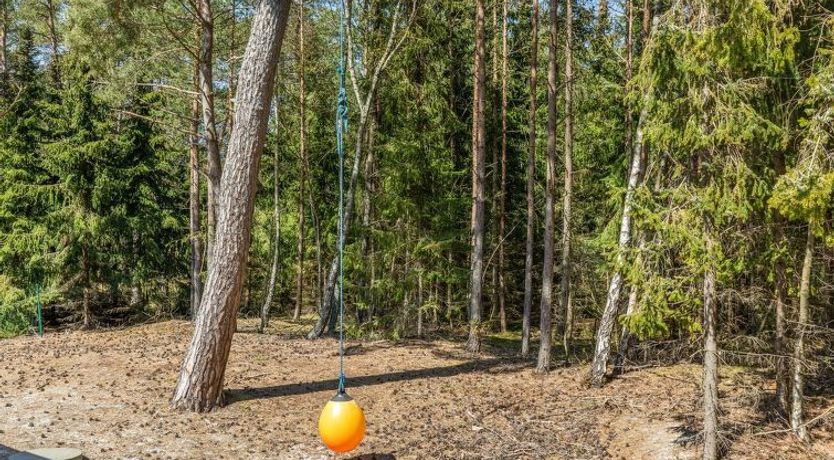 Photo of "Arndis" - 600m from the sea