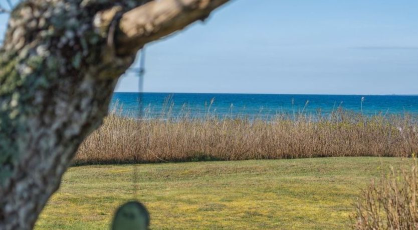 Photo of "Dzavid" - 10m from the sea