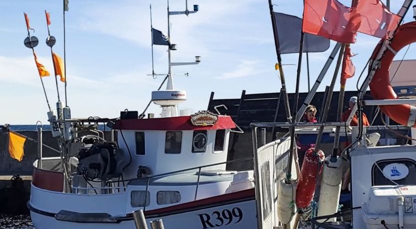 Photo of "Benna" - 120m from the sea