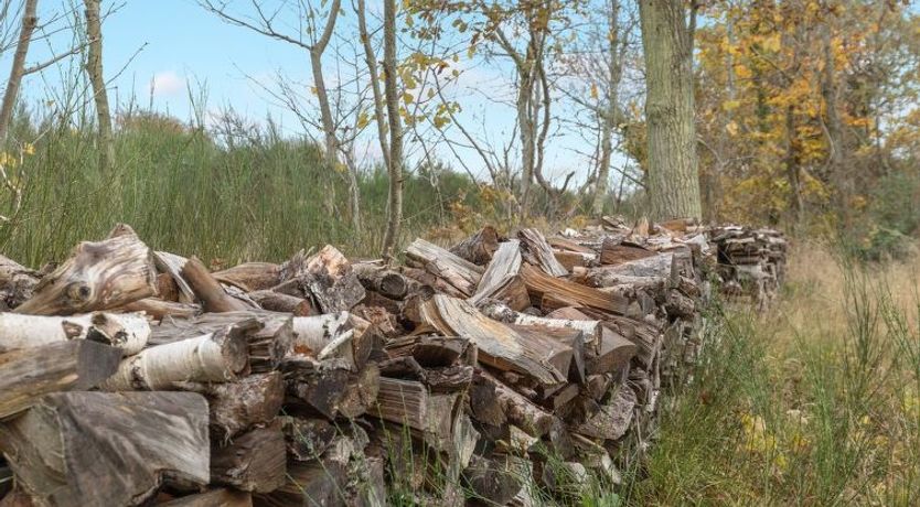 Photo of "Aida" - 400m from the sea