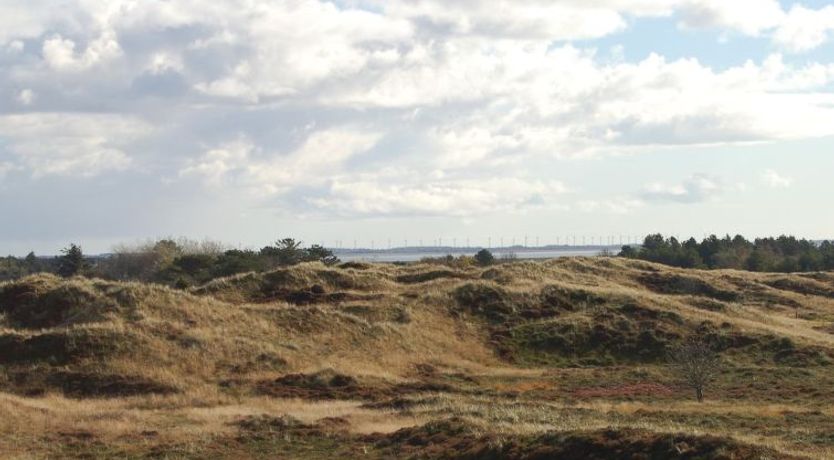 Photo of "Inga" - 1.3km from the sea