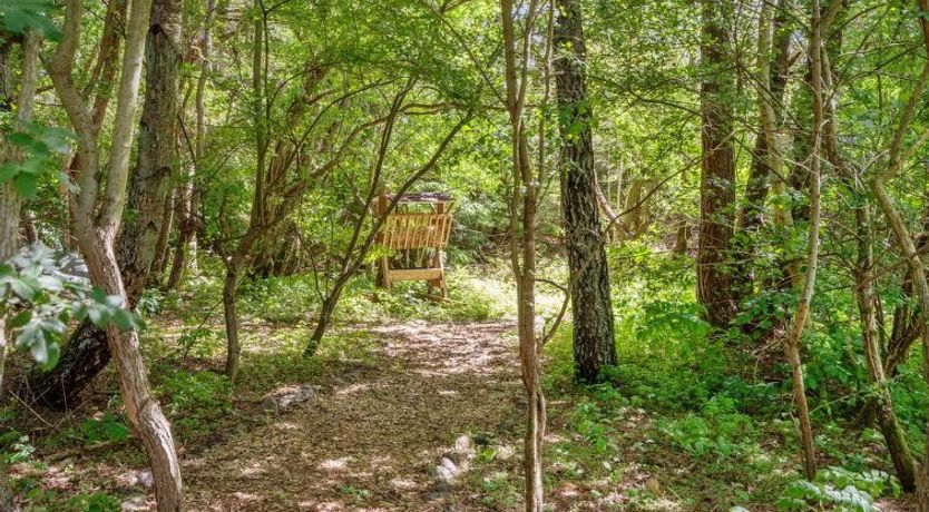 Photo of "Bette" - 8km from the sea