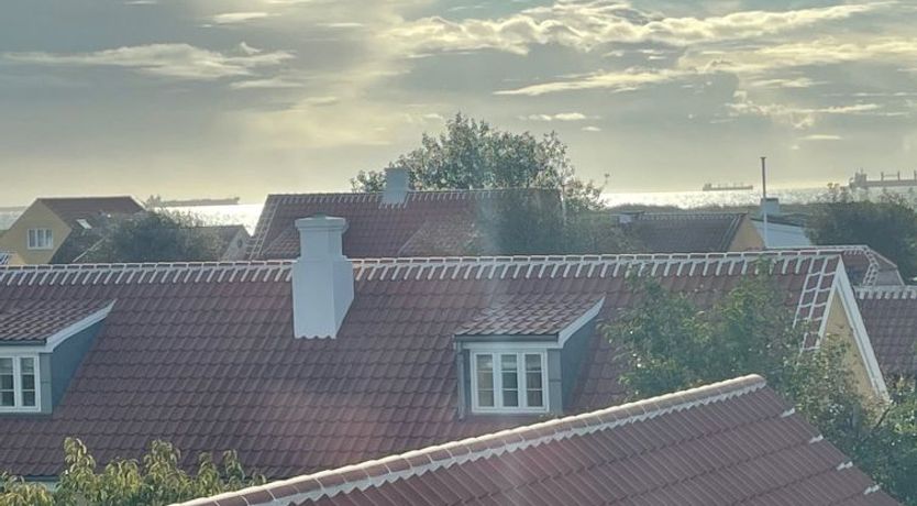 Photo of "Jarkko" - 200m from the sea