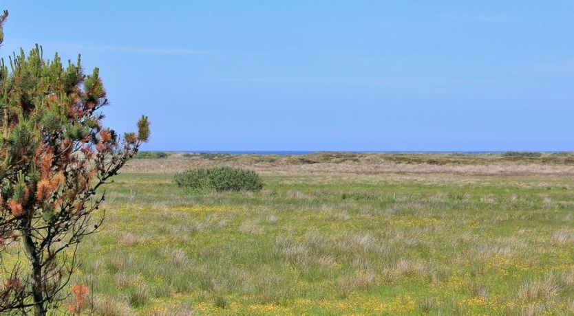 Photo of "Annick" - 300m from the sea