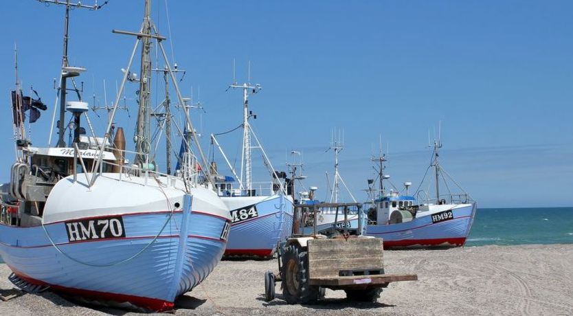 Photo of "Annick" - 300m from the sea