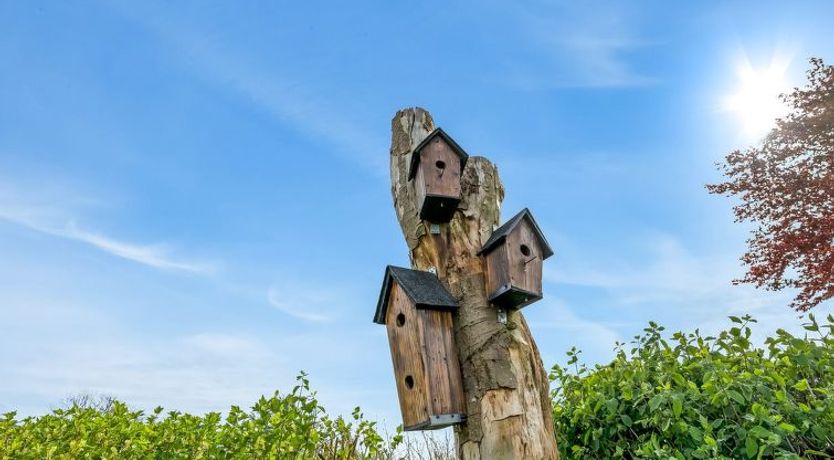 Photo of "Teija" - 300m from the sea