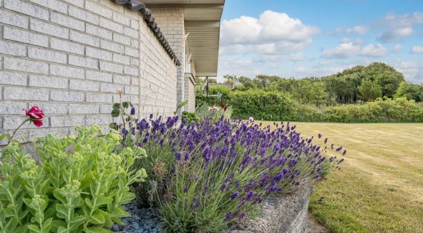 Photo of "Anselma" - 800m to the fjord