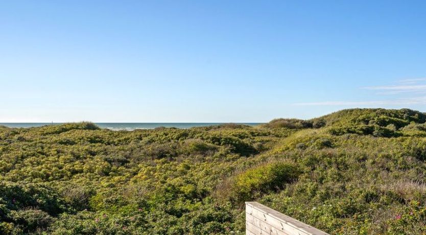 Photo of "Rauli" - 50m from the sea