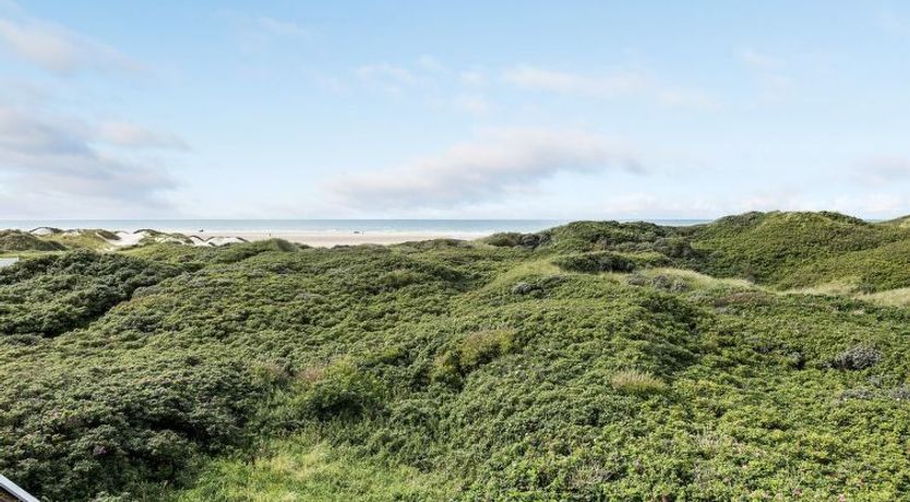 Photo of "Rauli" - 50m from the sea