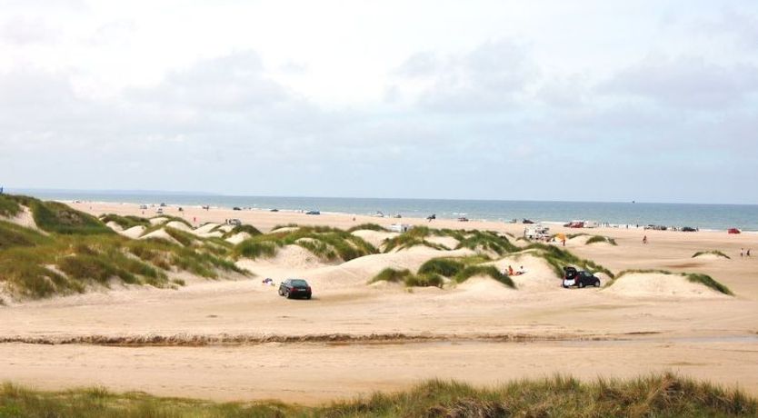 Photo of "Rauli" - 50m from the sea