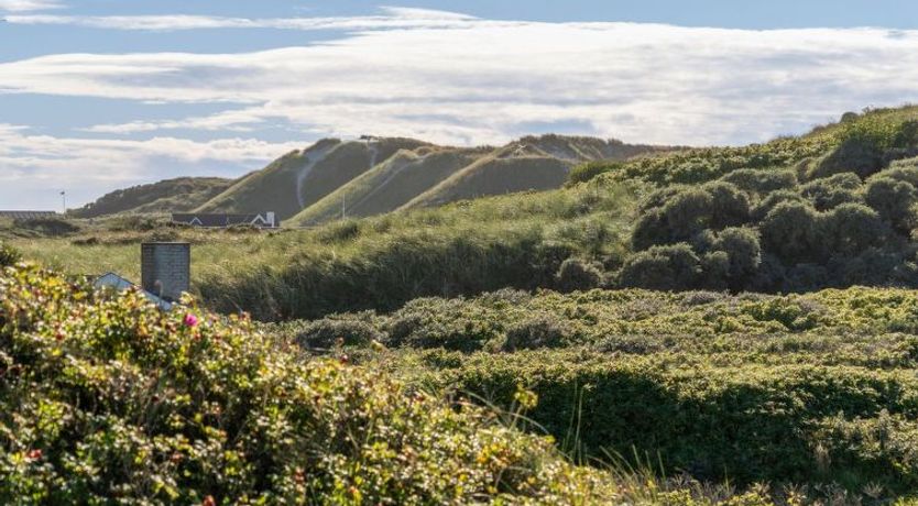 Photo of "Rauli" - 50m from the sea