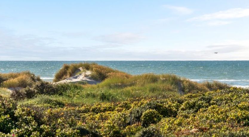 Photo of "Rauli" - 50m from the sea