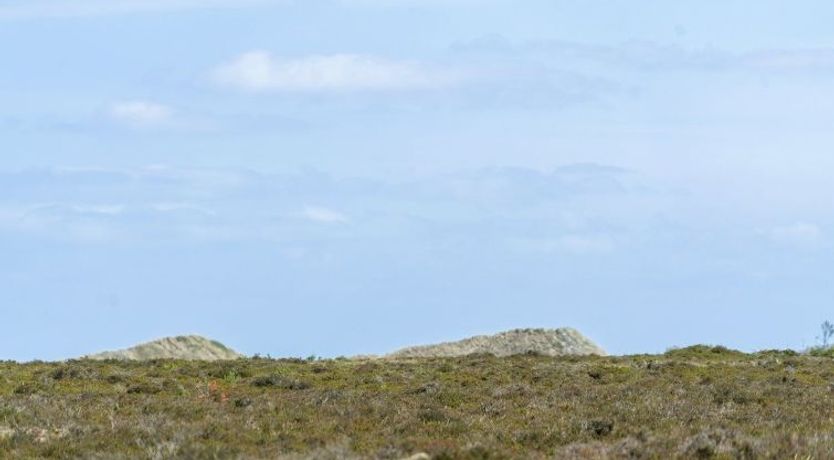 Photo of "Hrefna" - 350m from the sea