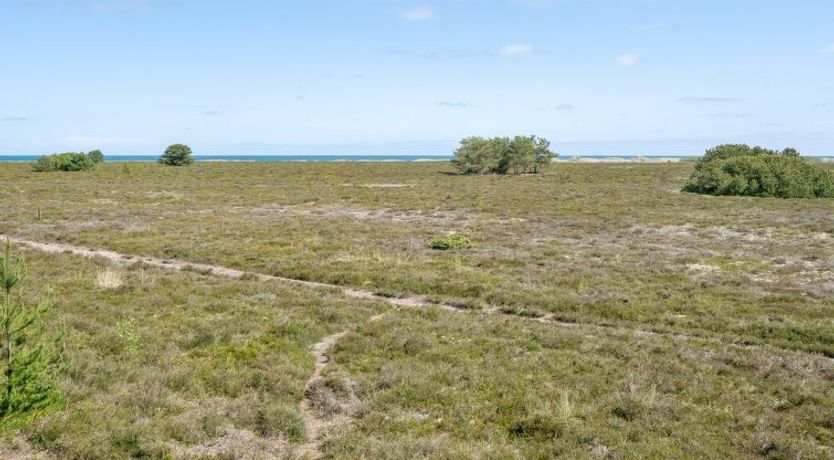 Photo of "Hrefna" - 350m from the sea