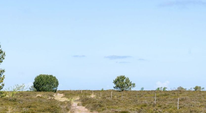 Photo of "Hrefna" - 350m from the sea