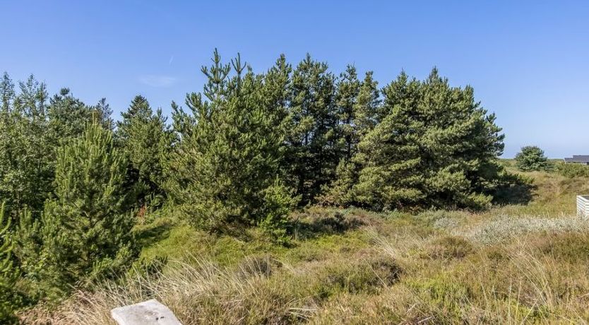 Photo of "Bruna" - 2km from the sea