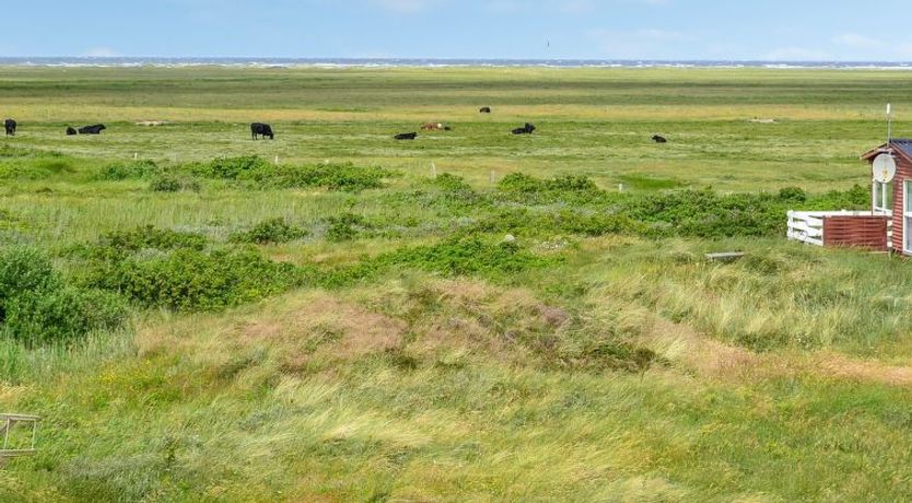 Photo of "Mortensen" - 350m from the sea