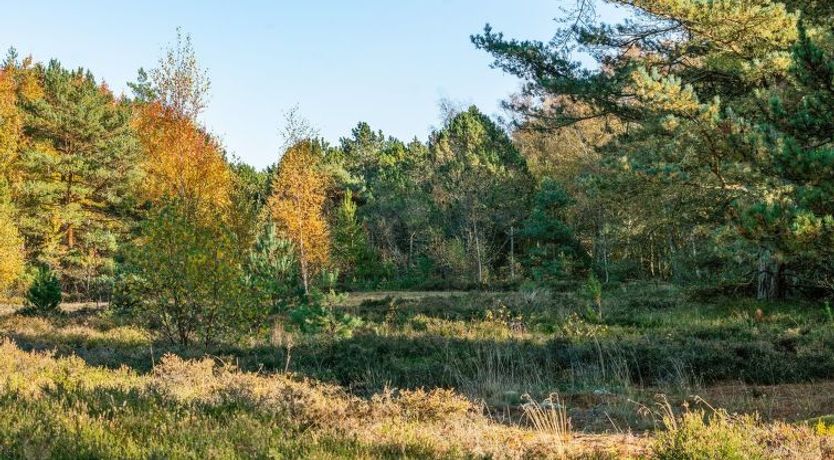 Photo of "Helmtrud" - 500m from the sea