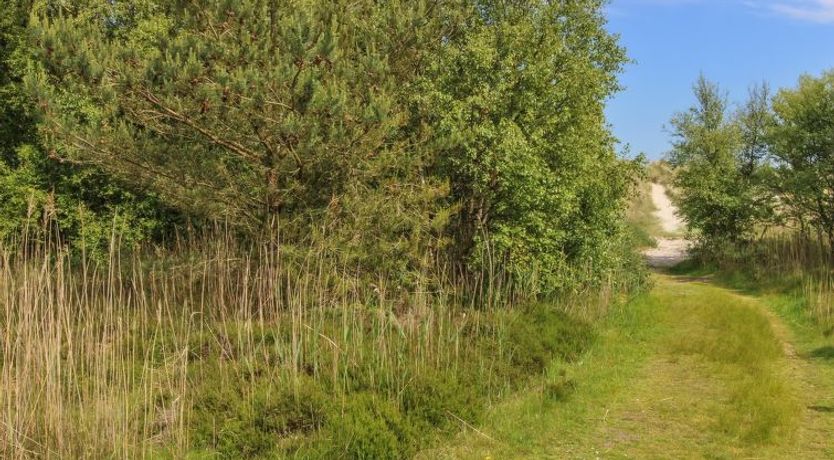 Photo of "Ingalise" - 500m from the sea