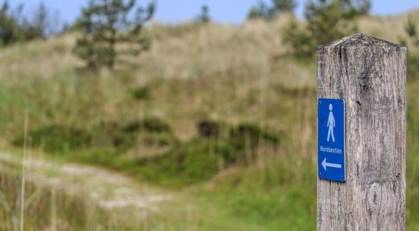 Photo of "Ingalise" - 500m from the sea