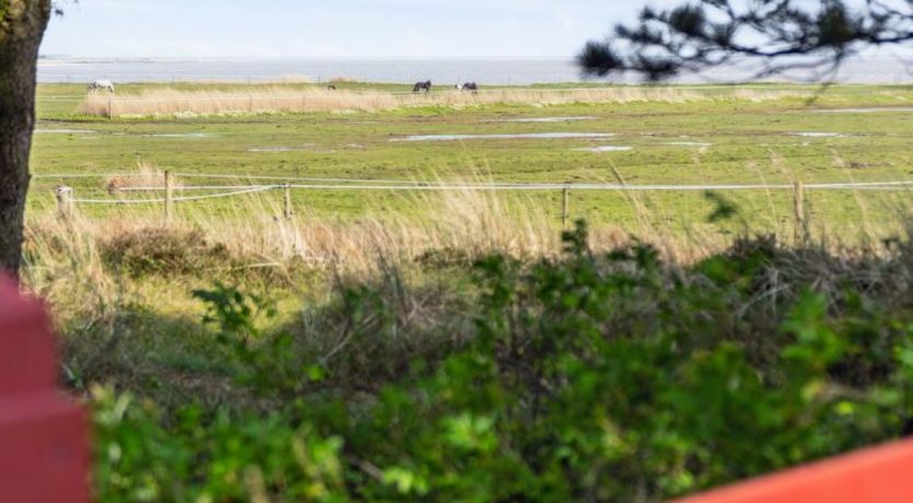 Photo of "Sedine" - 3.9km from the sea