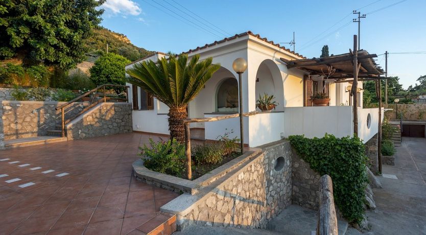 Photo of L'Amica Purito