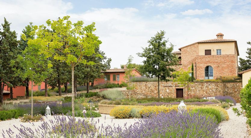 Photo of Tuscan Vineyard