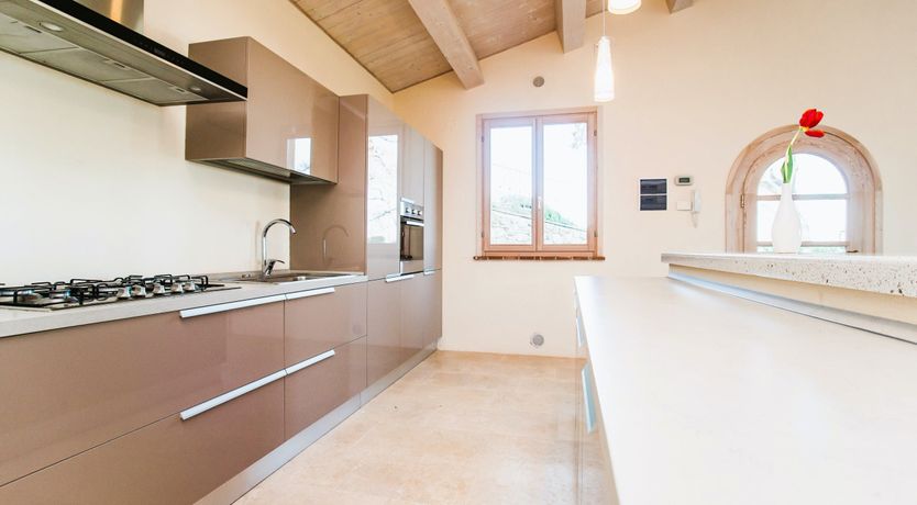 Photo of Tuscan Vineyard