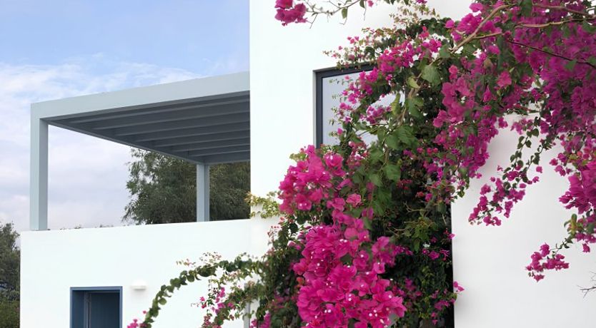 Photo of Sunsets in Blue