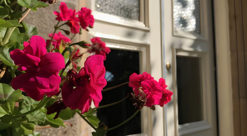 Photo of A Cosy Shade of Green