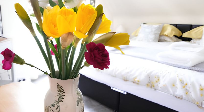 Photo of A Cosy Shade of Green