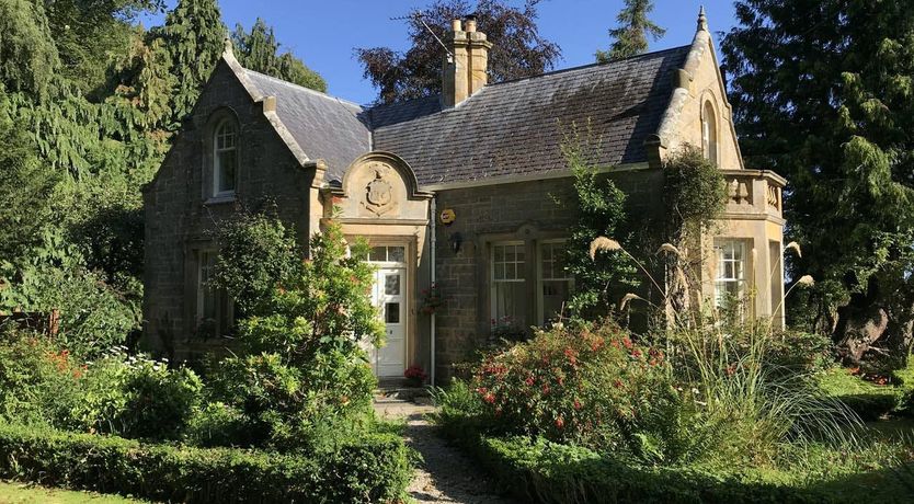 Photo of A Cosy Shade of Green