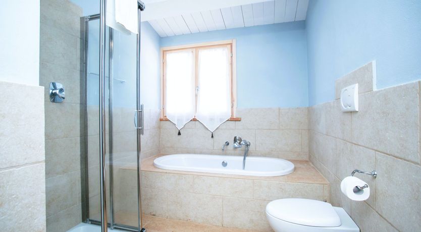 Photo of Tuscan Lavender