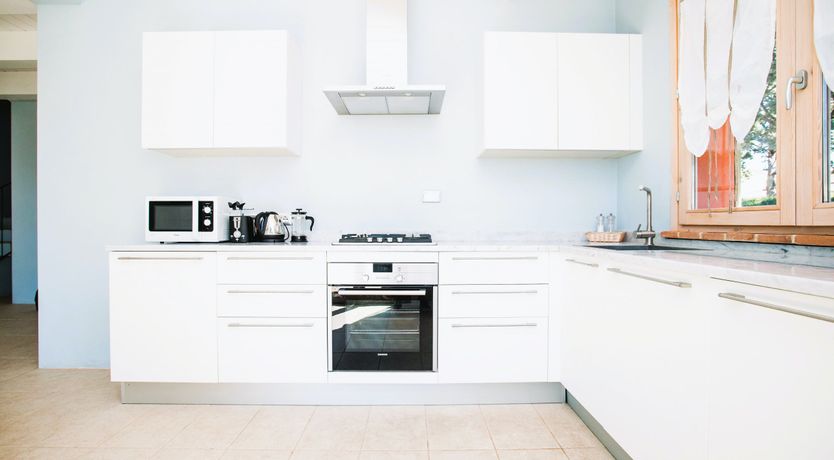 Photo of Tuscan Lavender