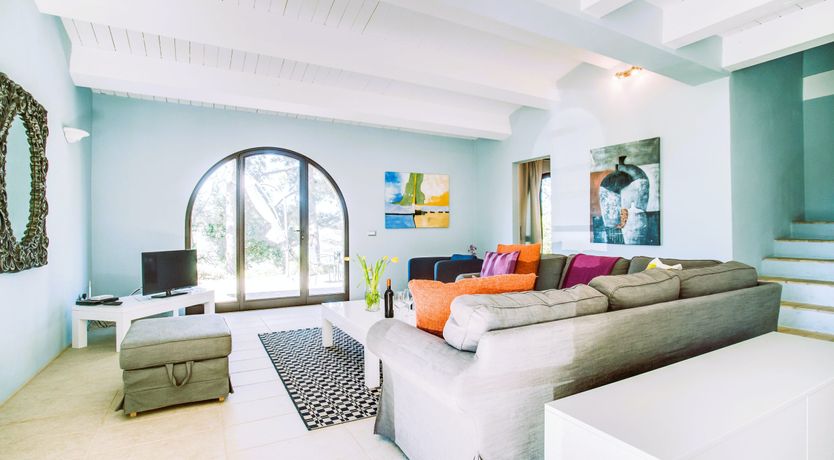 Photo of Tuscan Lavender