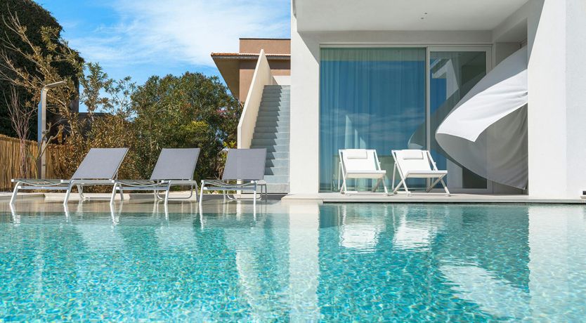 Photo of A Splash of Tangerine