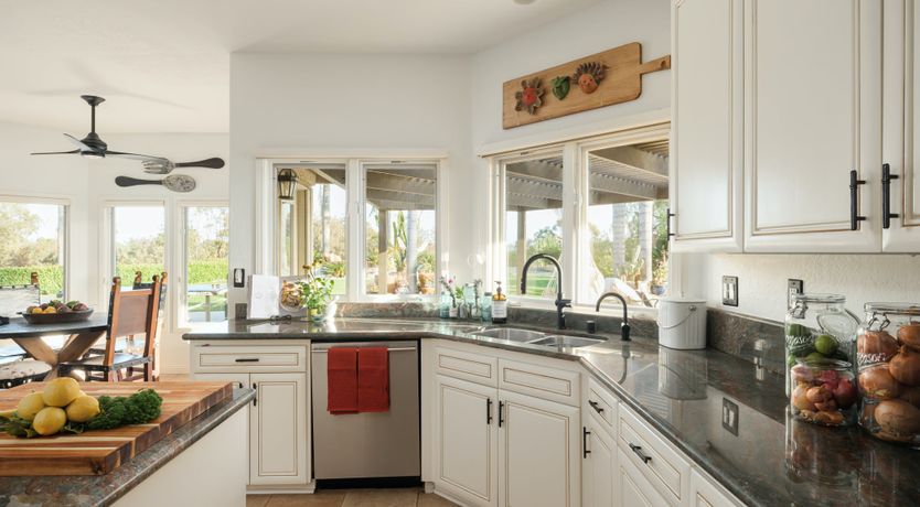 Photo of Hummingbird Dawn