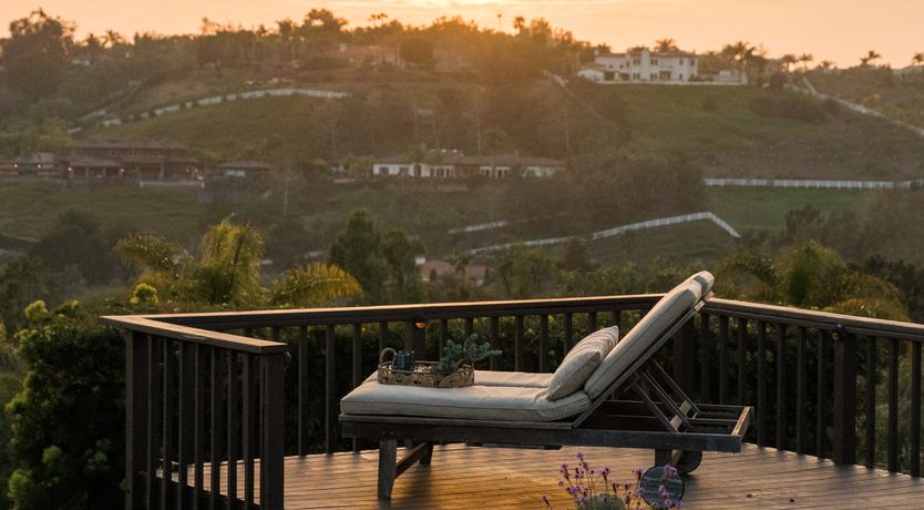 Photo of Hummingbird Dawn