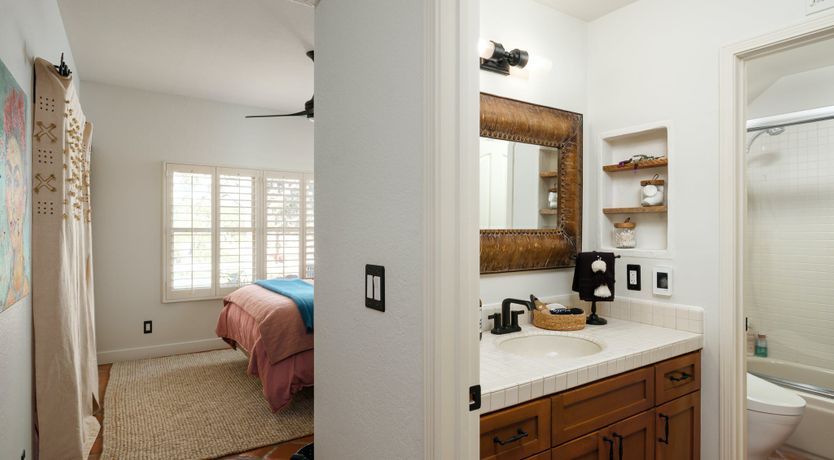 Photo of Hummingbird Dawn