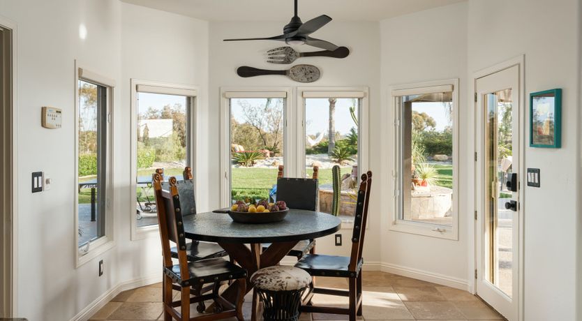 Photo of Hummingbird Dawn