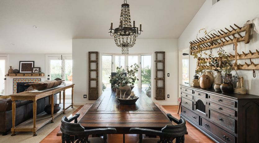 Photo of Hummingbird Dawn