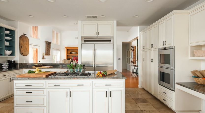 Photo of Hummingbird Dawn