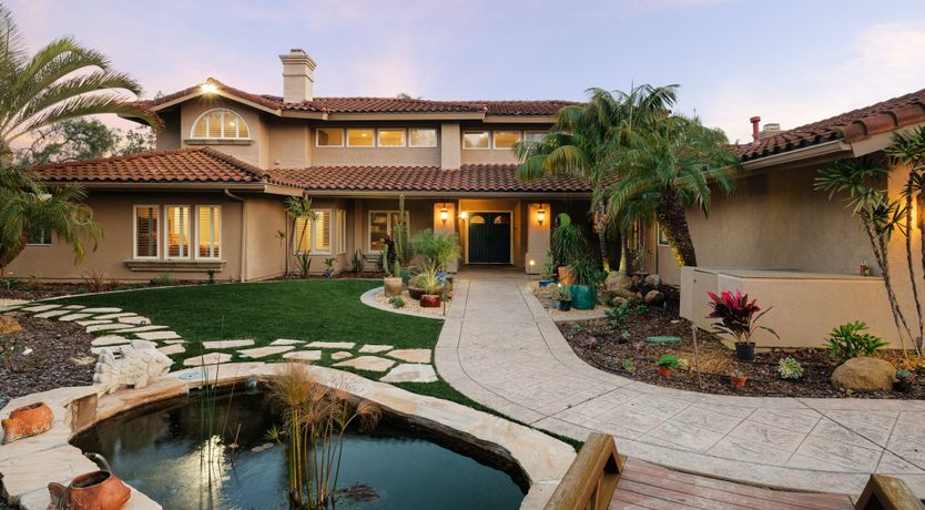 Photo of Hummingbird Dawn