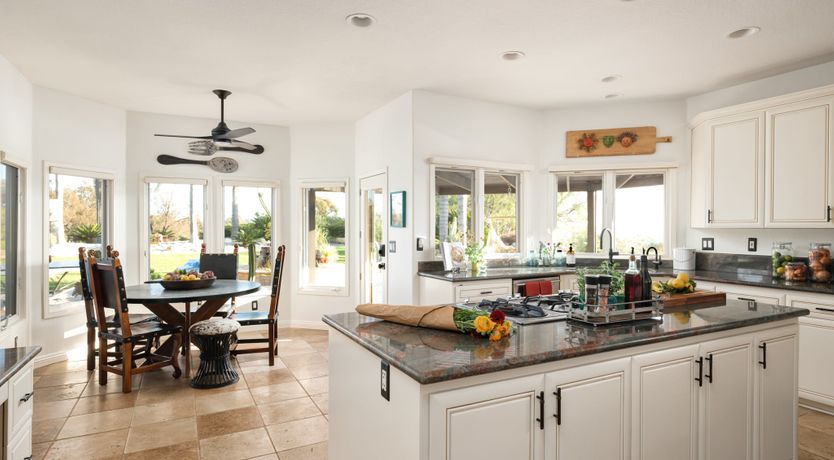 Photo of Hummingbird Dawn